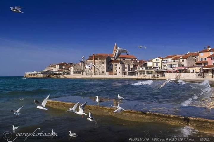 Apartment Ante Umag Exterior photo